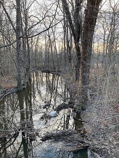 0 Bennington Chapel Road Croton, OH 43013 - Photo 3 of 14 Gallery Image 3