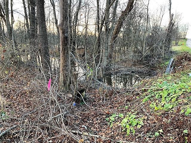 0 Bennington Chapel Road Croton, OH 43013 - Photo 4 of 14 Gallery Image 4
