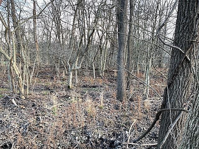 0 Bennington Chapel Road Croton, OH 43013 - Photo 6 of 14 Gallery Image 6