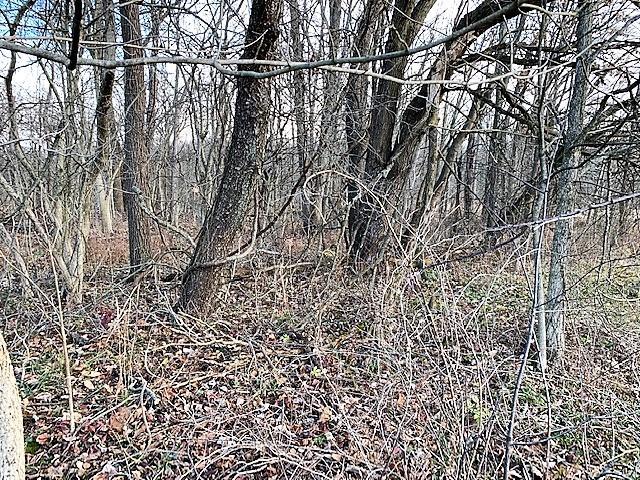 0 Bennington Chapel Road Croton, OH 43013 - Photo 7 of 14 Gallery Image 7