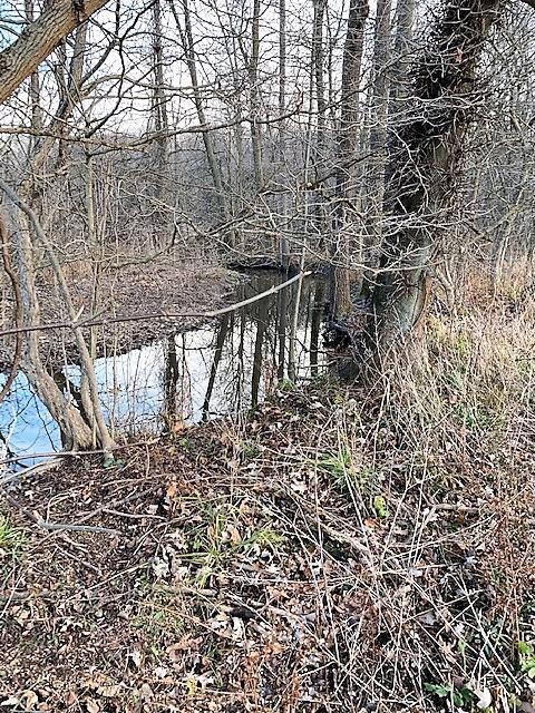 0 Bennington Chapel Road Croton, OH 43013 - Photo 8 of 14 Gallery Image 8