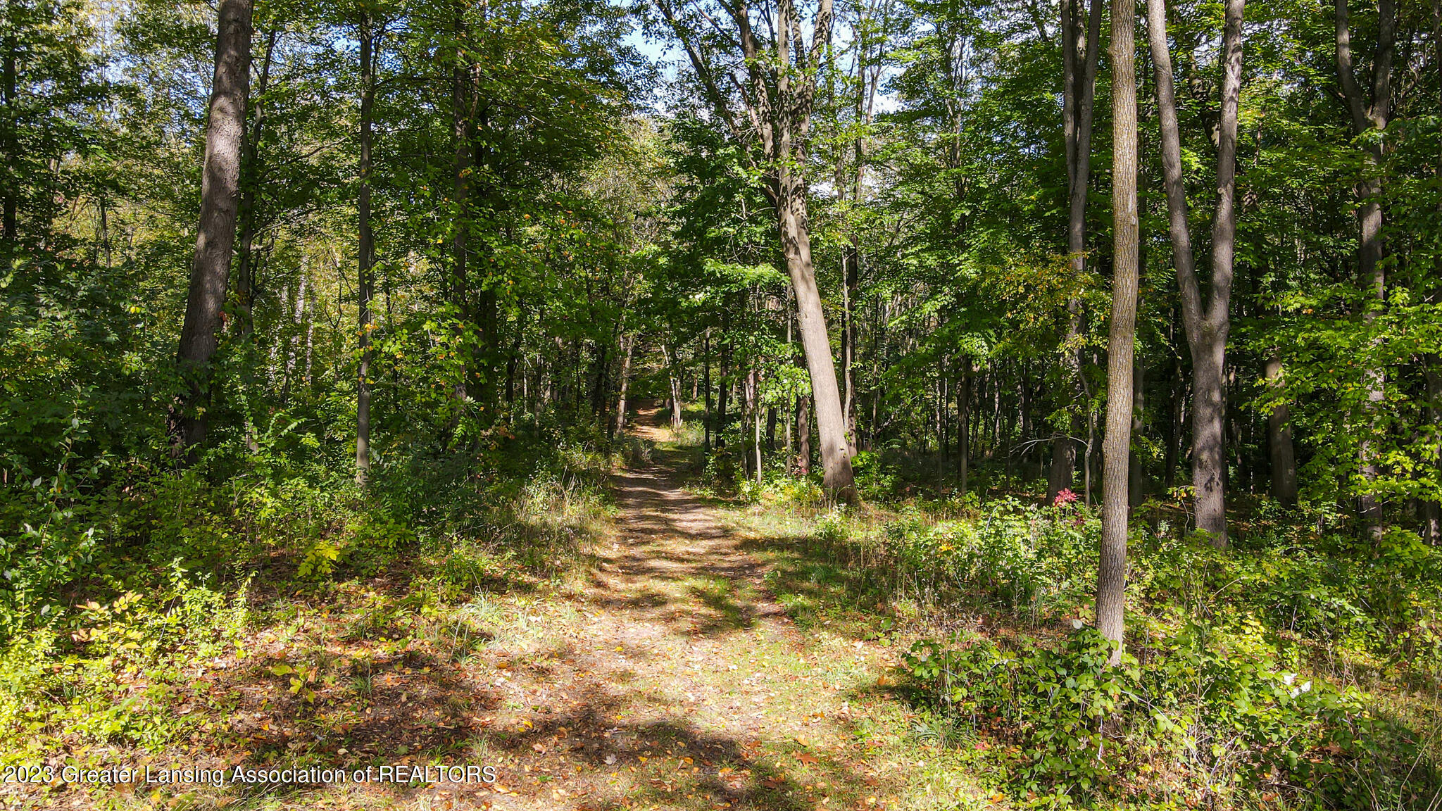 1824 Towner Road East Lansing, MI 48823 - Photo 34 of 38 1824Towner39