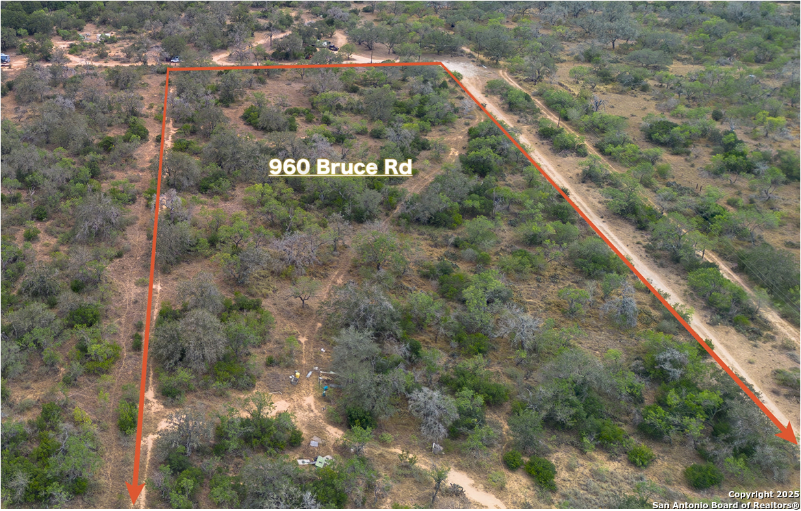 960 Bruce Road Poteet, TX 78065 - Photo 6 of 7 a view of a forest with a tree