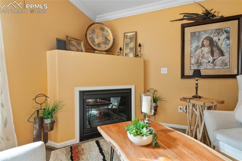 5639 Sunshade Point Colorado Springs, CO 80923 - Photo 7 of 36 a living room with furniture and a fireplace