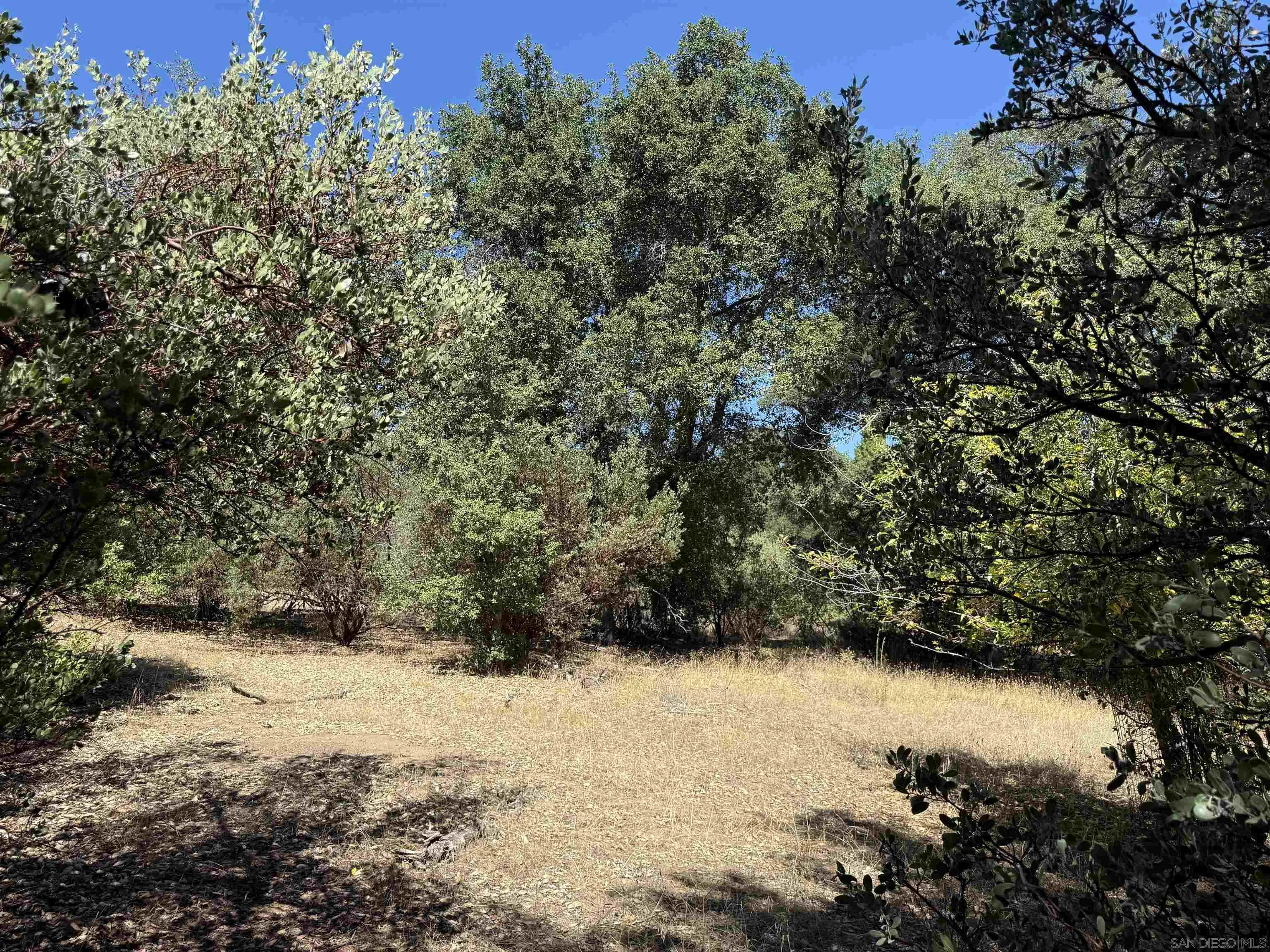 5909 Forest Meadow Road Julian, CA 92036 - Photo 11 of 16 a view of mountain view with large trees
