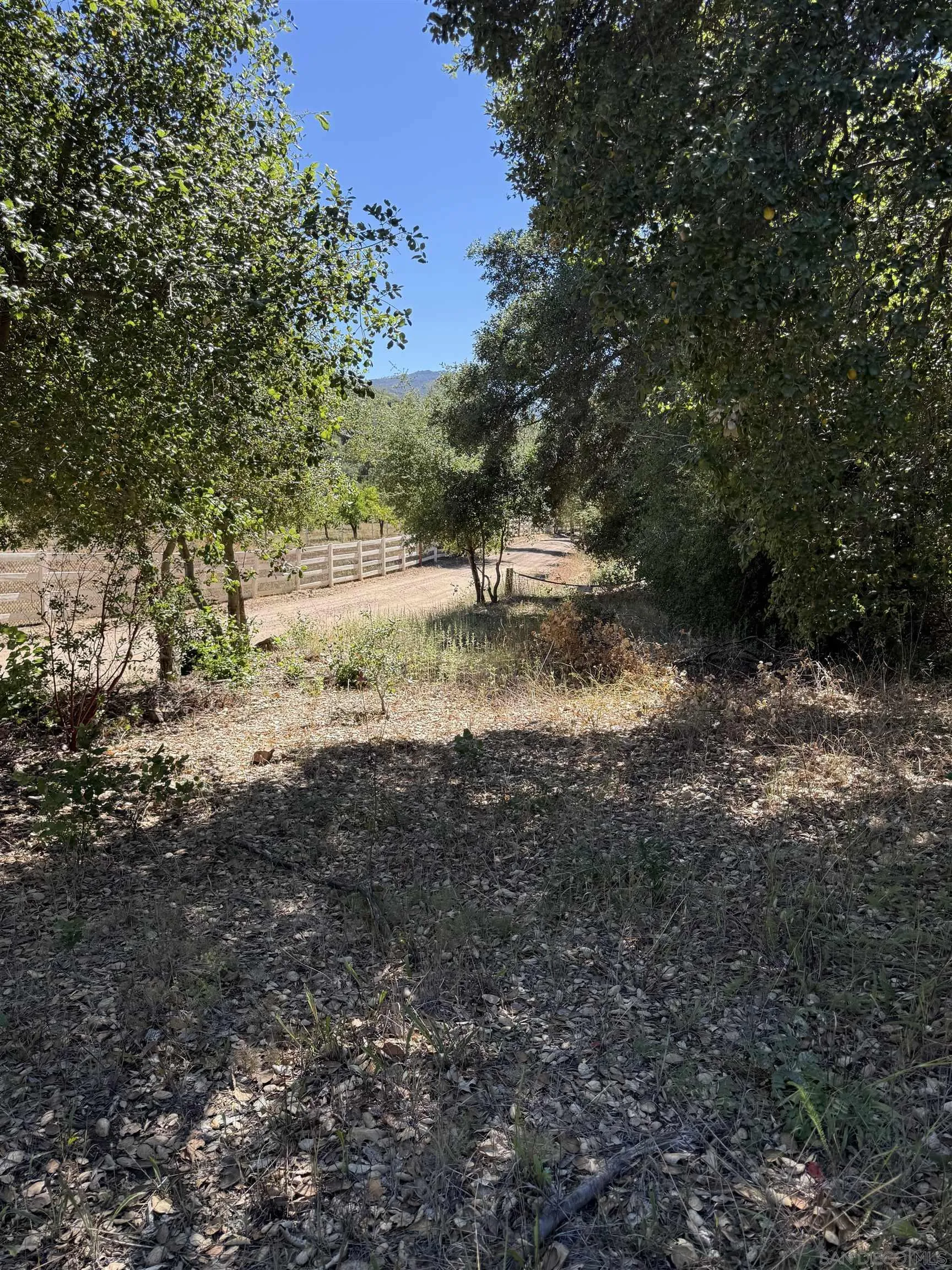 5909 Forest Meadow Road Julian, CA 92036 - Photo 12 of 16