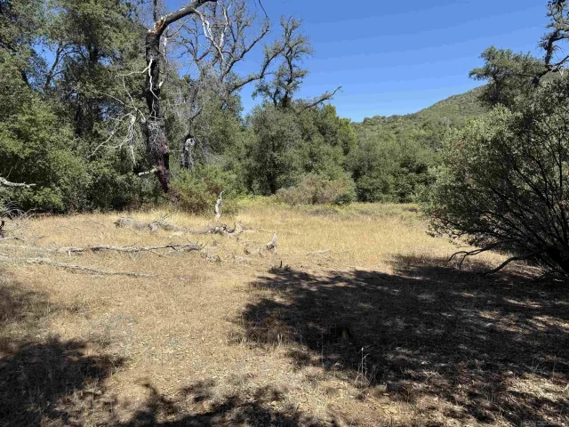 a view of a yard covered in snow