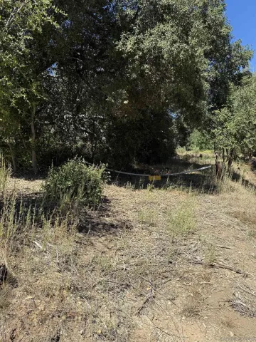 a view of outdoor space