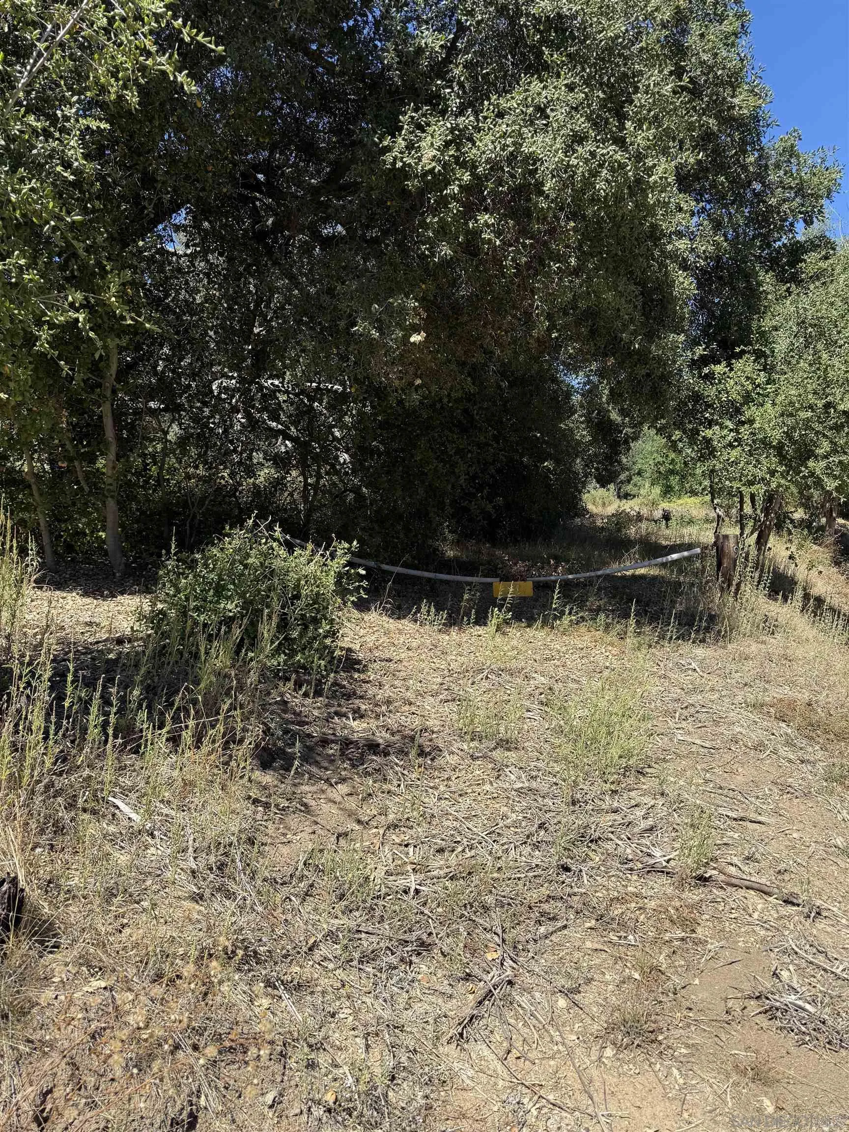5909 Forest Meadow Road Julian, CA 92036 - Photo 6 of 16 a view of outdoor space
