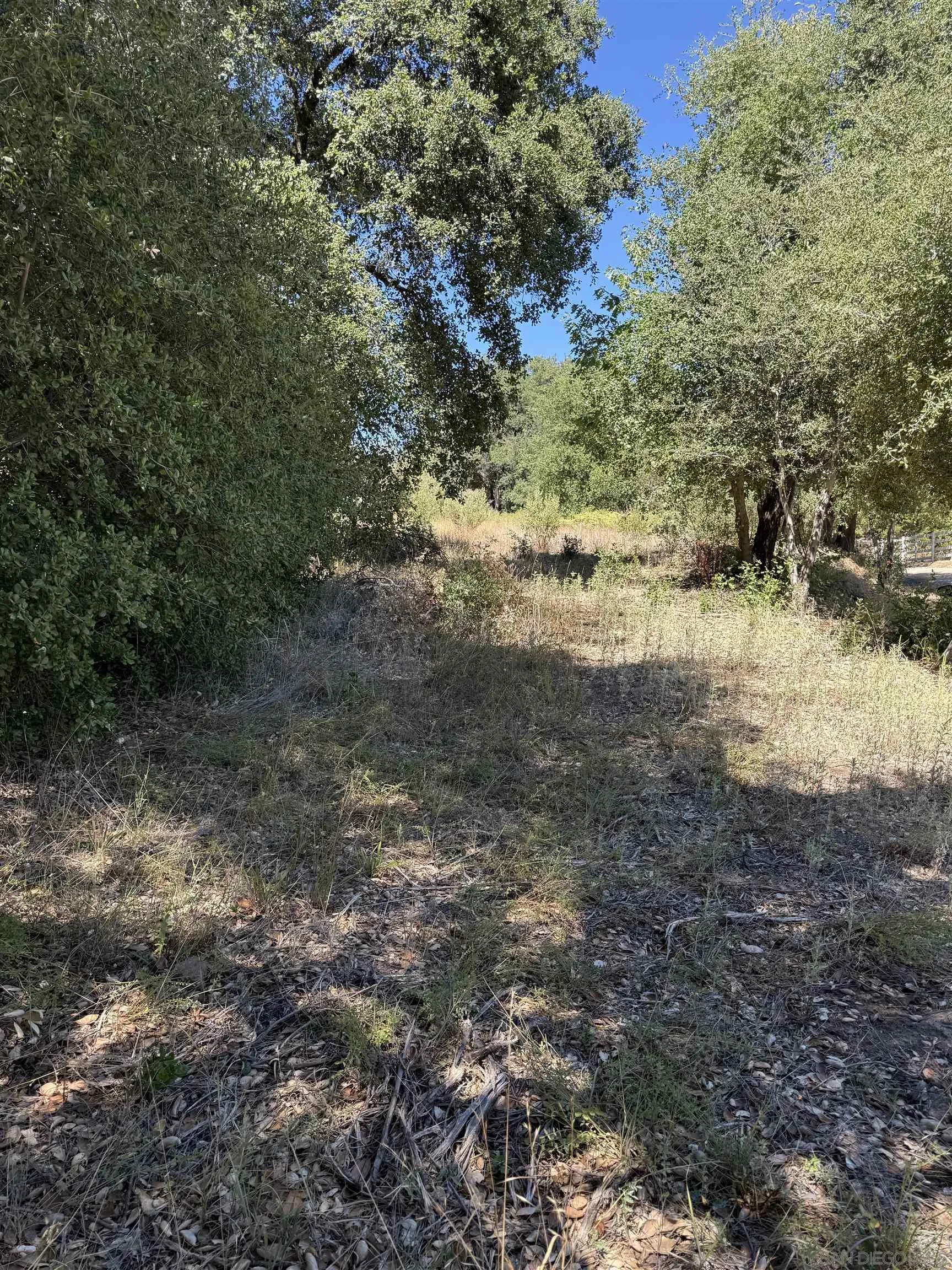 5909 Forest Meadow Road Julian, CA 92036 - Photo 7 of 16 a view of a yard with a tree