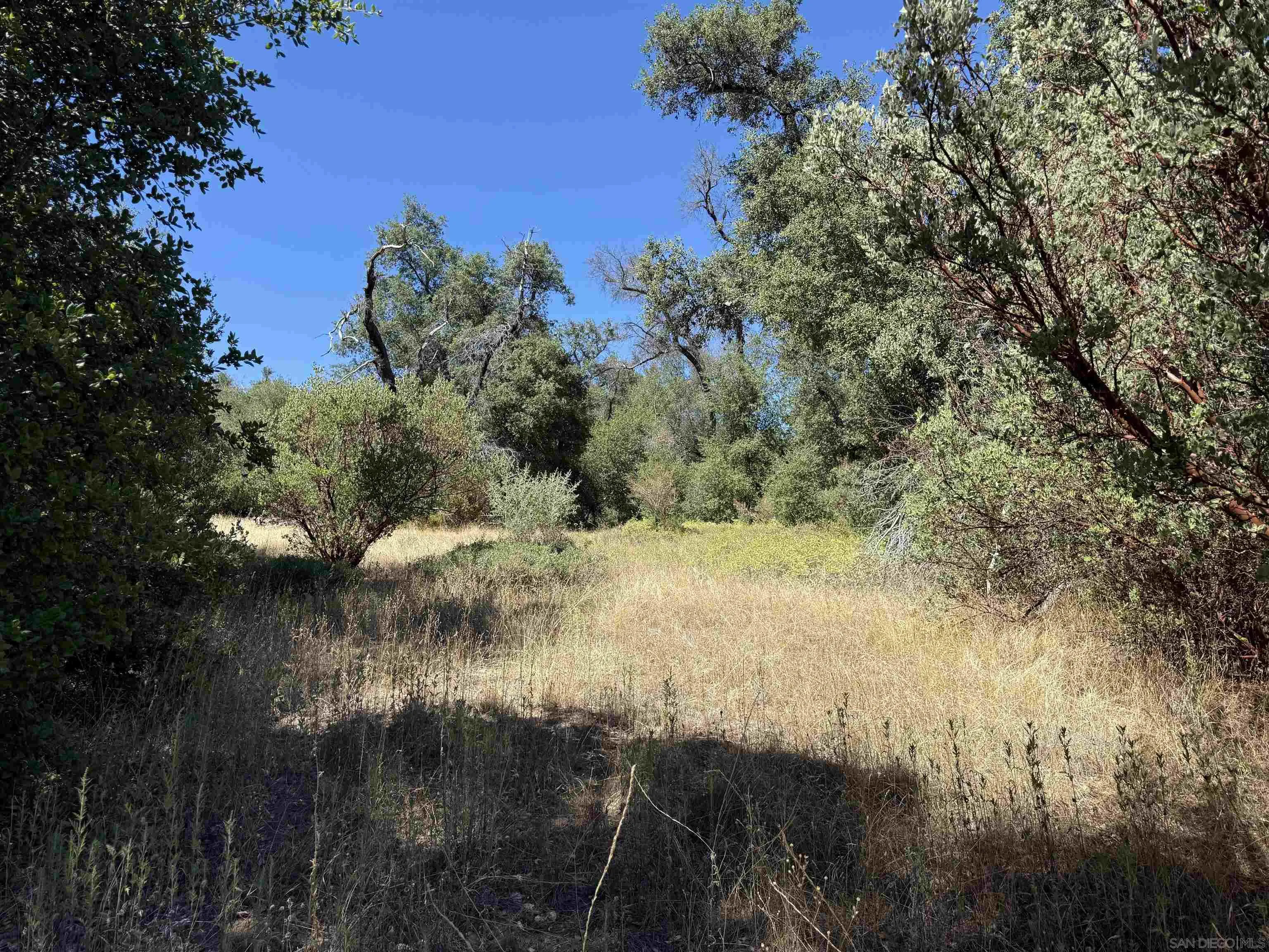 5909 Forest Meadow Road Julian, CA 92036 - Photo 8 of 16 a view of a lake in between the bunch of trees