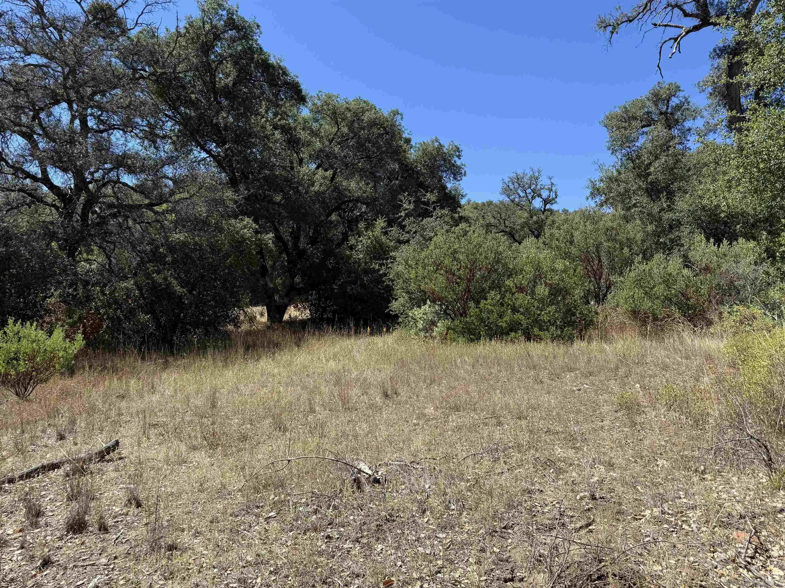 5909 Forest Meadow Road Julian, CA 92036 - Photo 9 of 16 a view of outdoor space and a yard