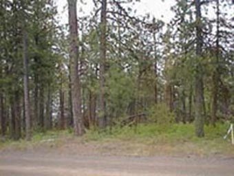 16600 Pine Bluff Road Spokane, WA 99208 - Photo 1 of 1