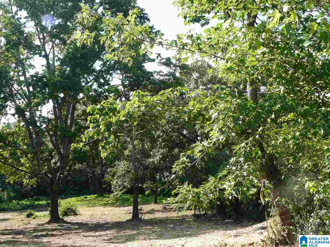 South Shades Crest Road Helena, AL 35022 - Photo 4 of 11