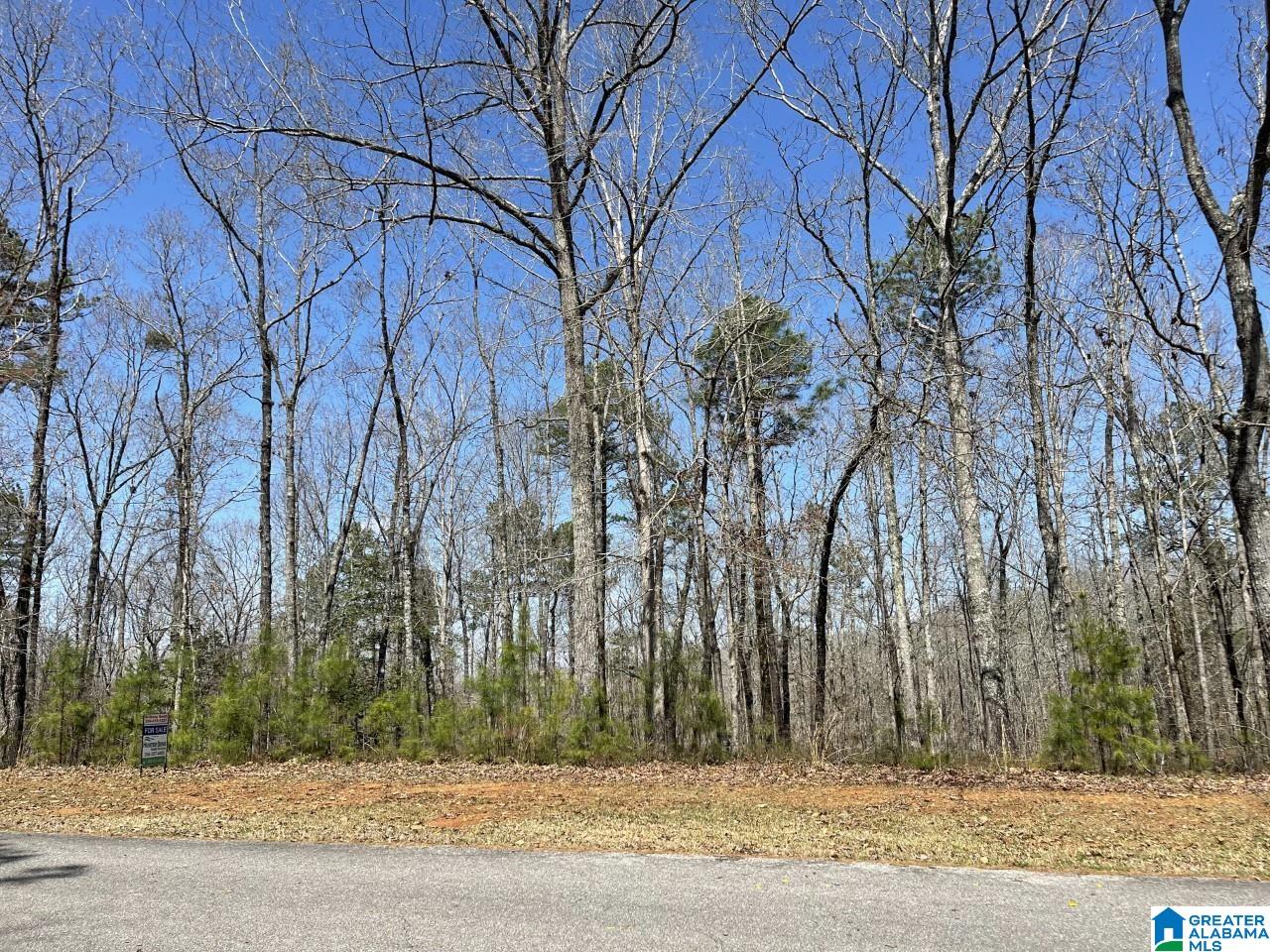 Laurel Way, Unit 79 Wedowee, AL 36278 - Photo 1 of 9
