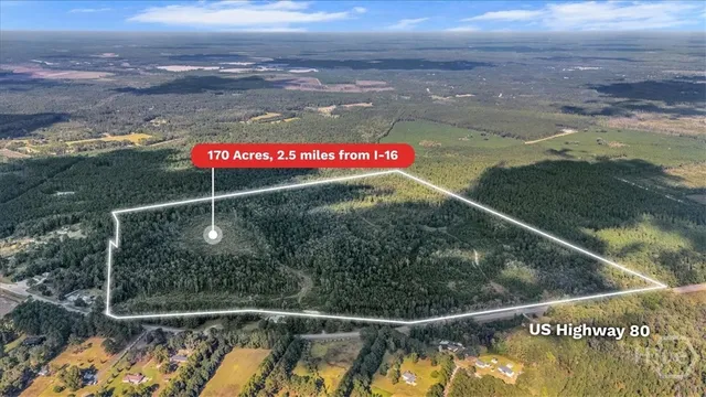 $6,500,000 | 641 Highway 80, Ellabell, GA 31308