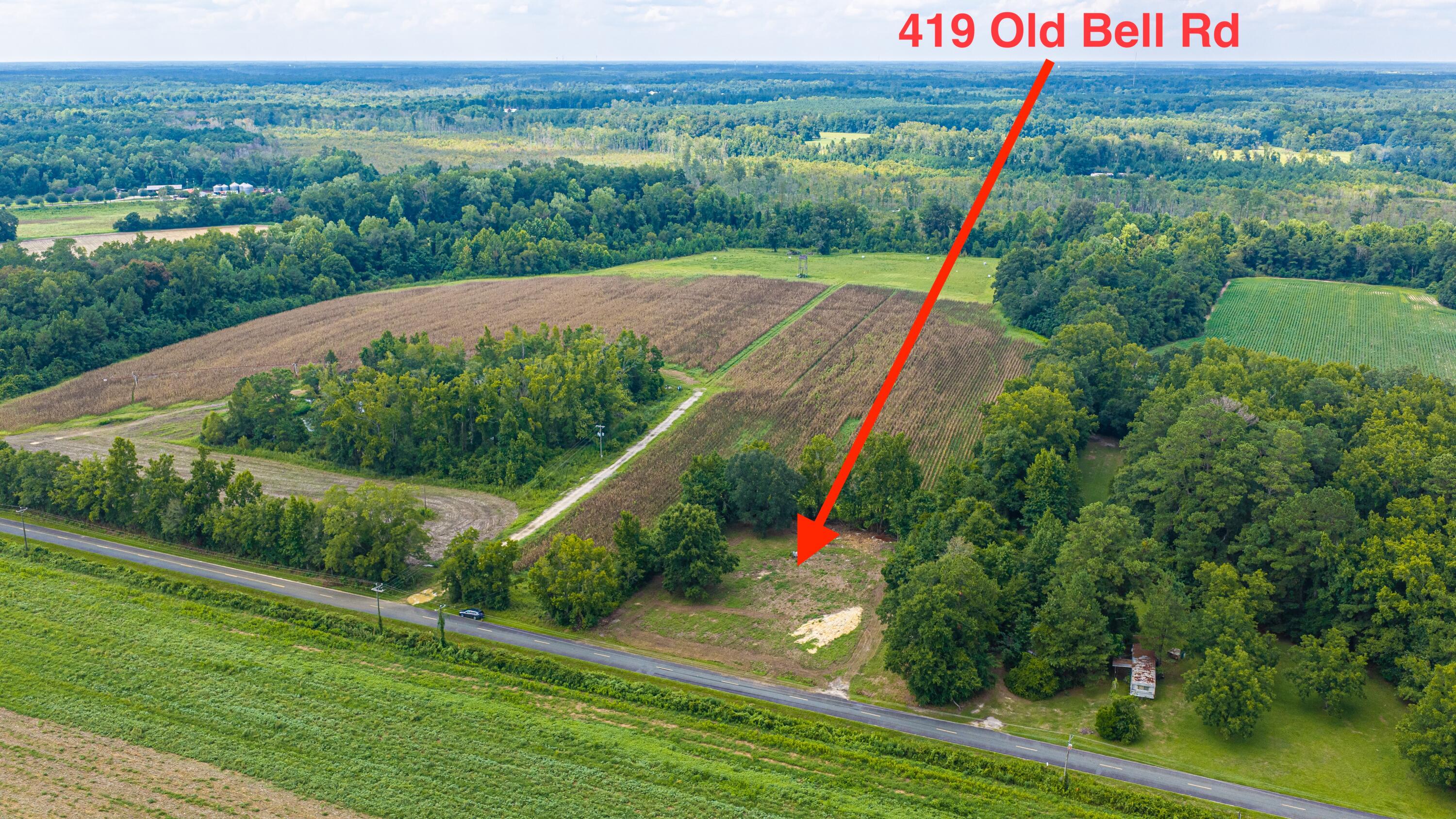 419 County Rd S-18-299 St. George, SC 29477 - Photo 33 of 58 419OldBellRd009