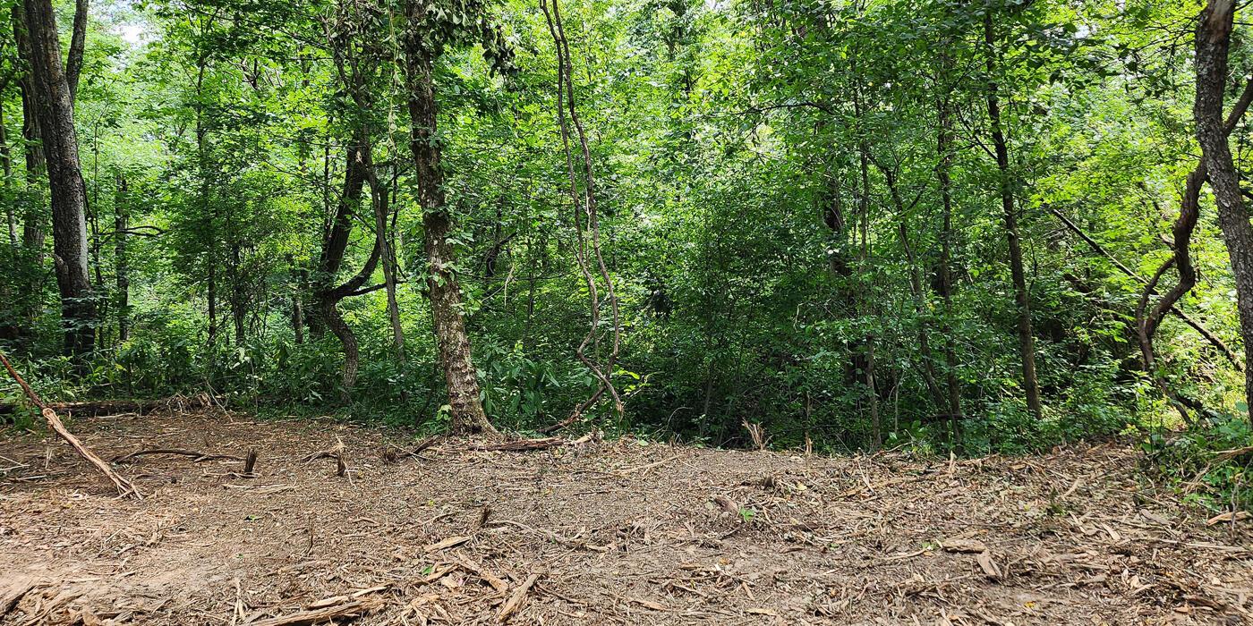0 Back Run Road, Unit TRACT 1) Philo, OH 43771 - Photo 38 of 53 CT-36