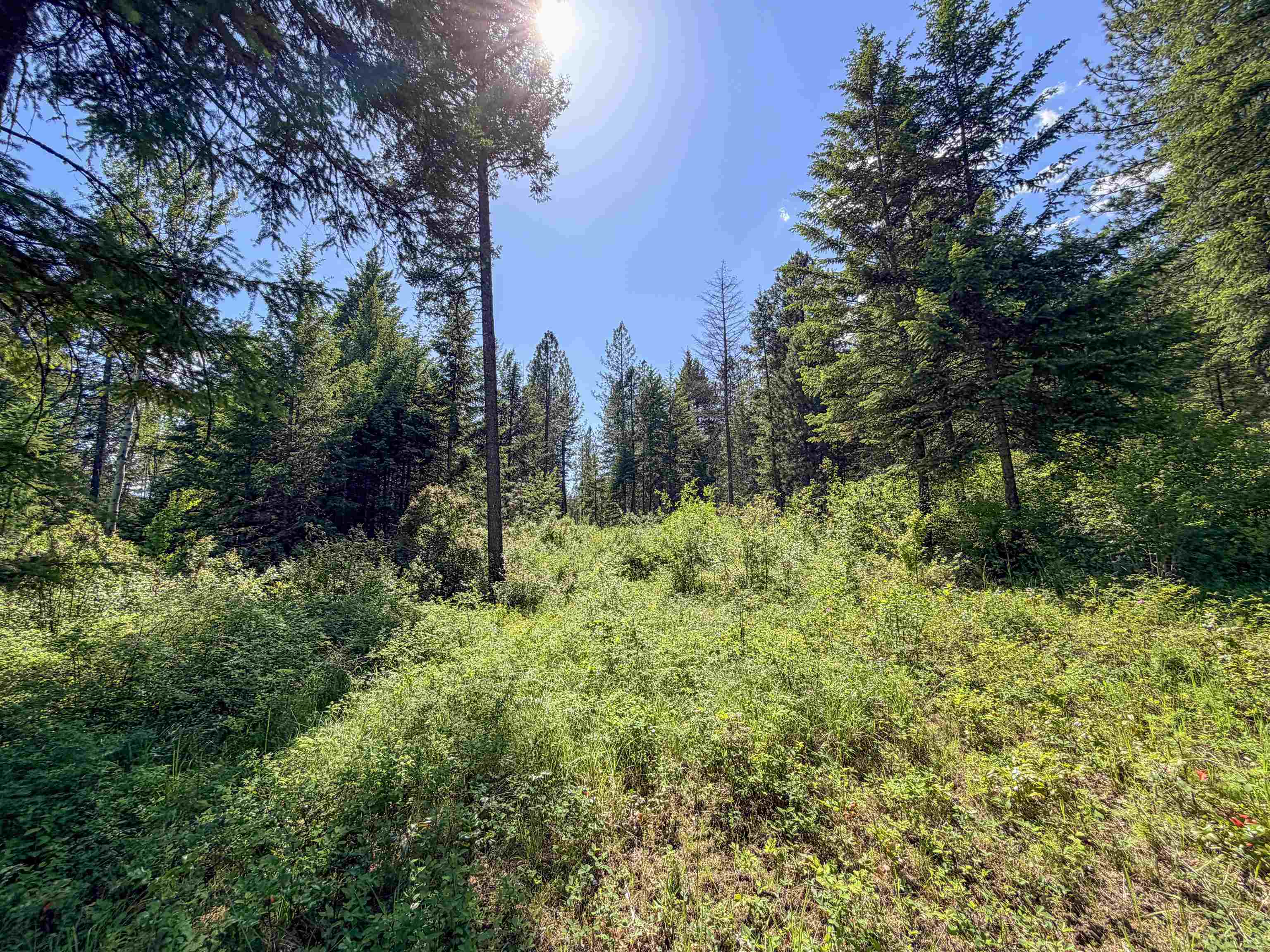 2008-tbd (k) Summit Valley Road Addy, WA 99101 - Photo 2 of 19