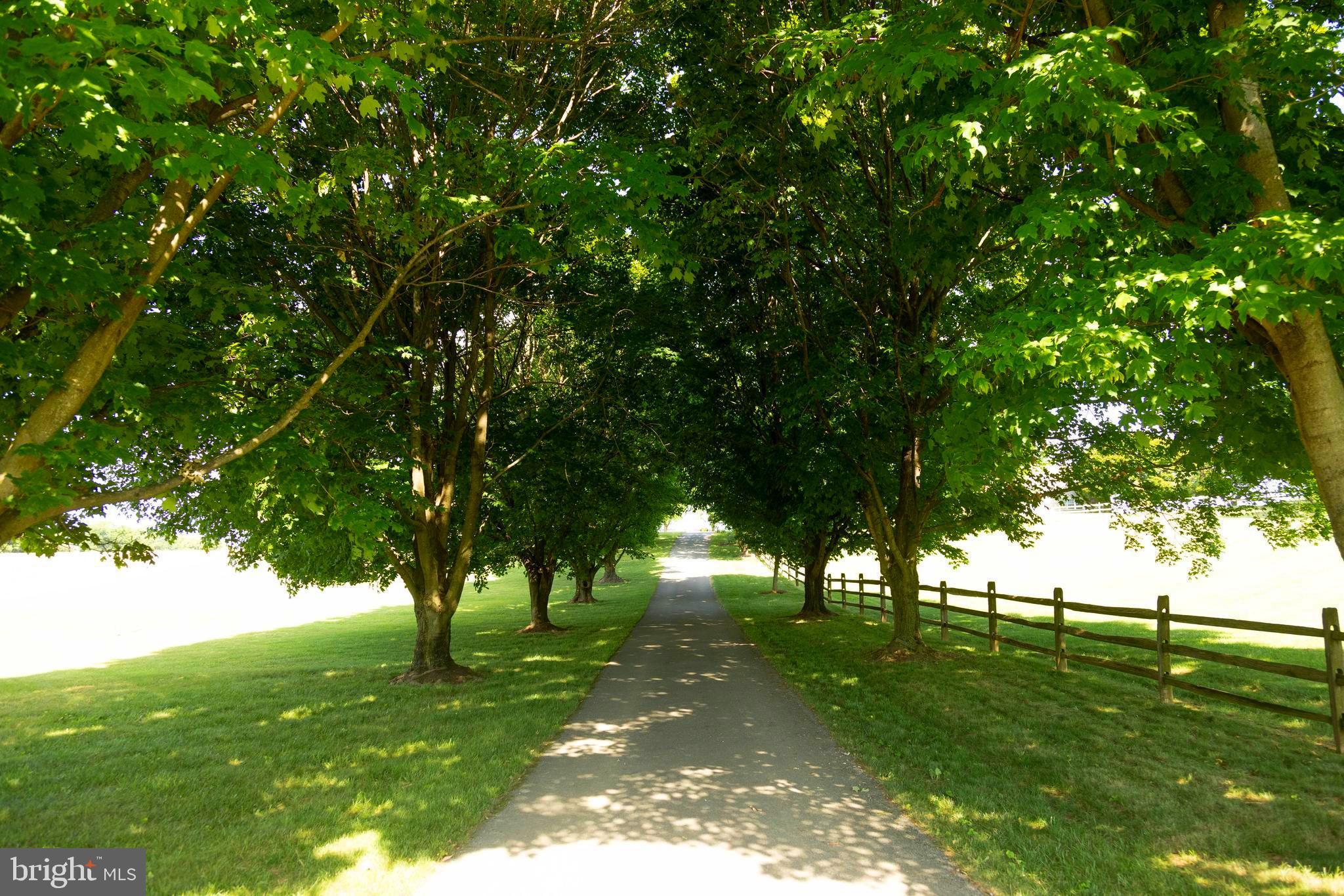 9100 Mapleville Road Boonsboro, MD 21713 - Photo 17 of 55