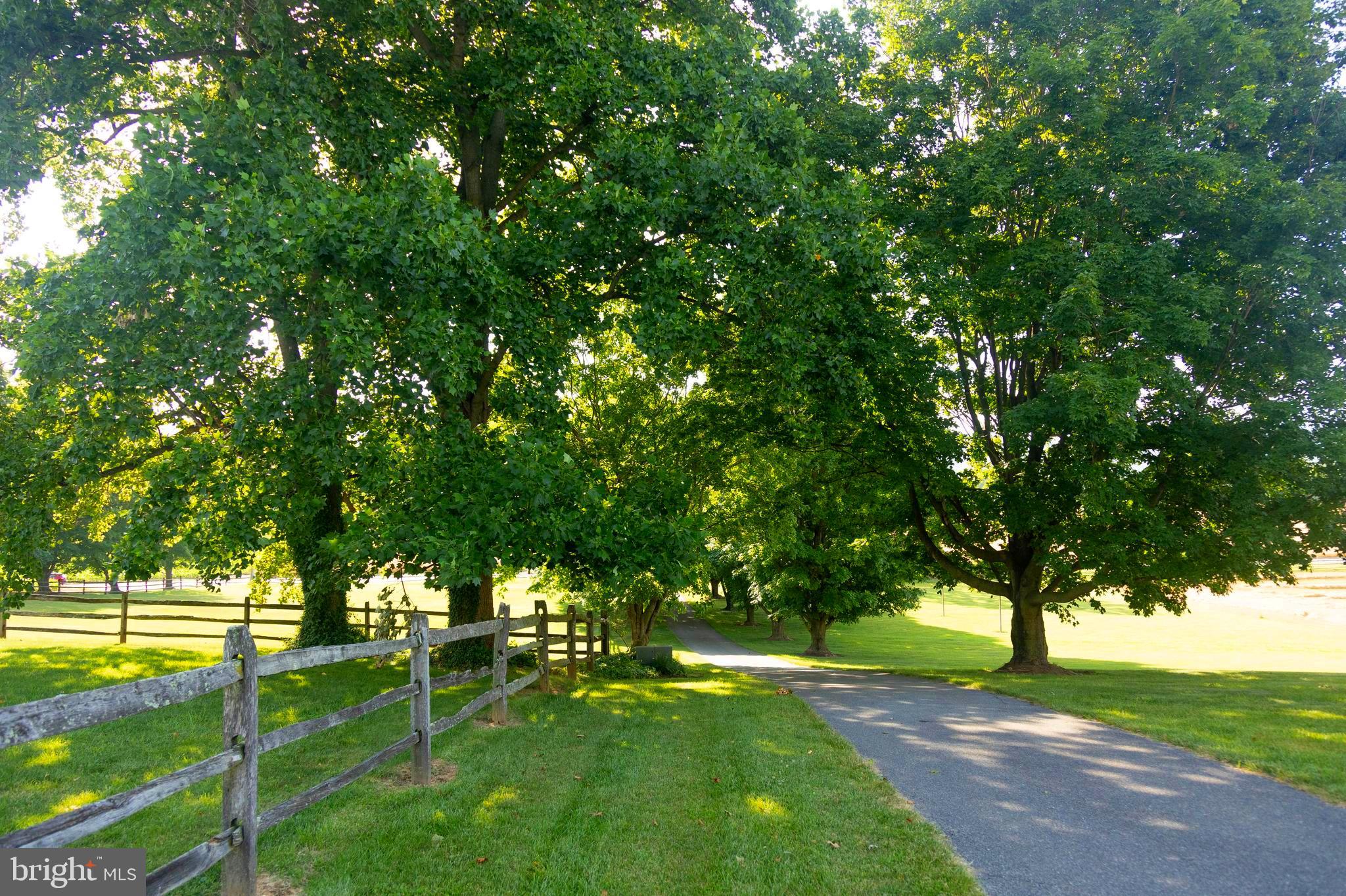 9100 Mapleville Road Boonsboro, MD 21713 - Photo 18 of 55