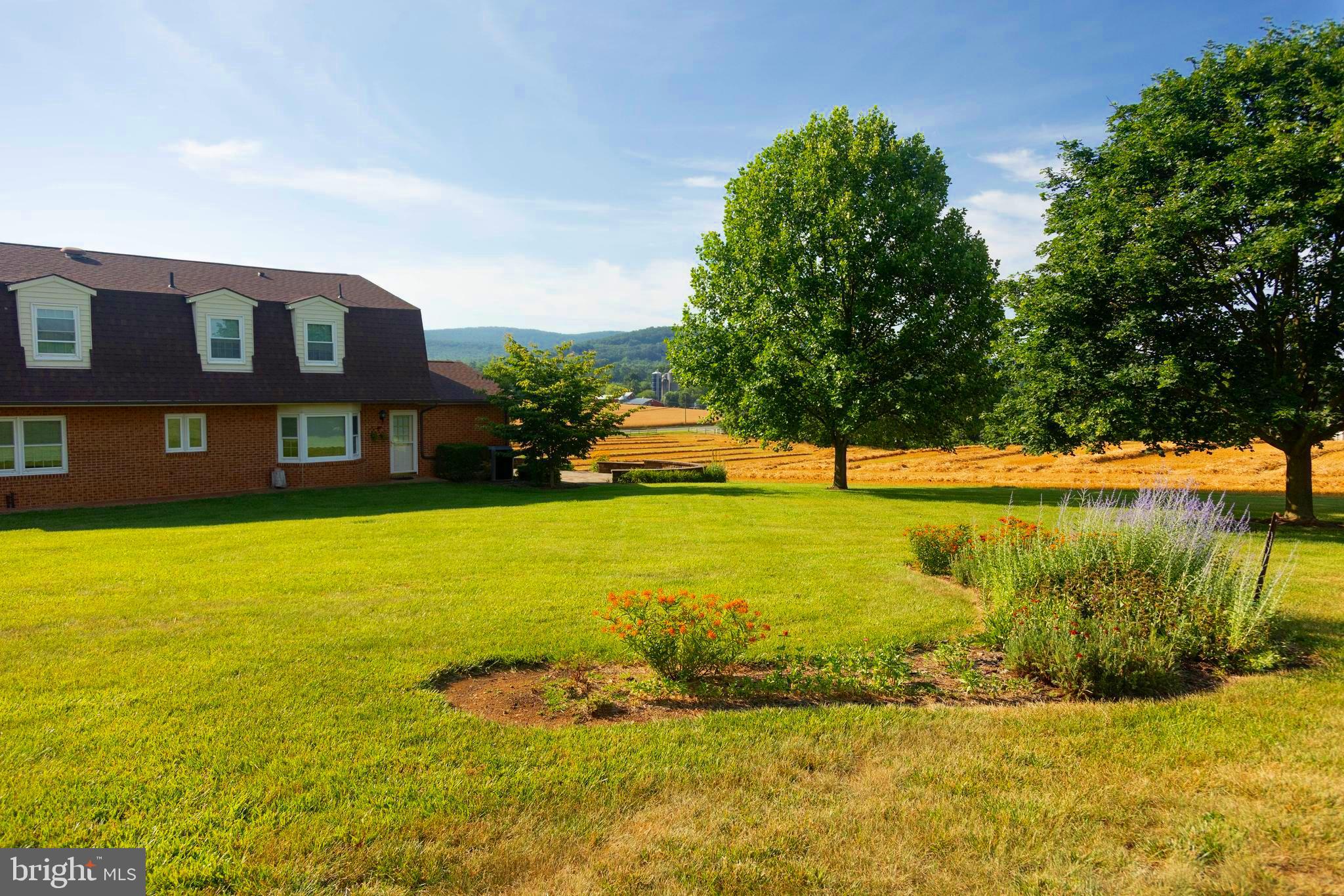 9100 Mapleville Road Boonsboro, MD 21713 - Photo 19 of 55 Back yard