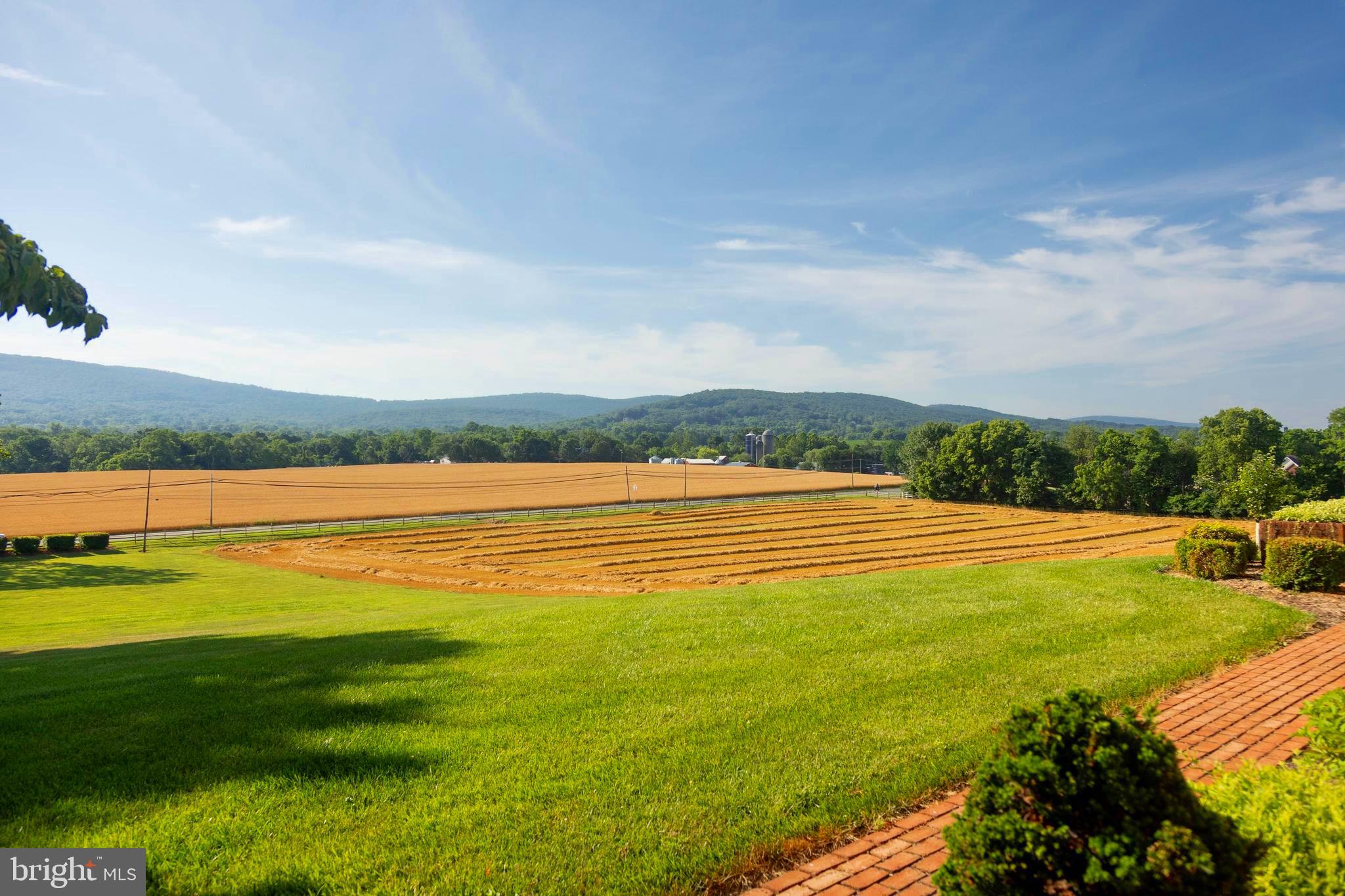 9100 Mapleville Road Boonsboro, MD 21713 - Photo 21 of 55 View from the patio