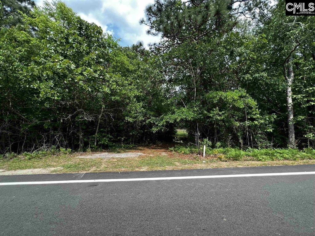 410 Boy Scout Road Gaston, SC 29053 - Photo 1 of 4