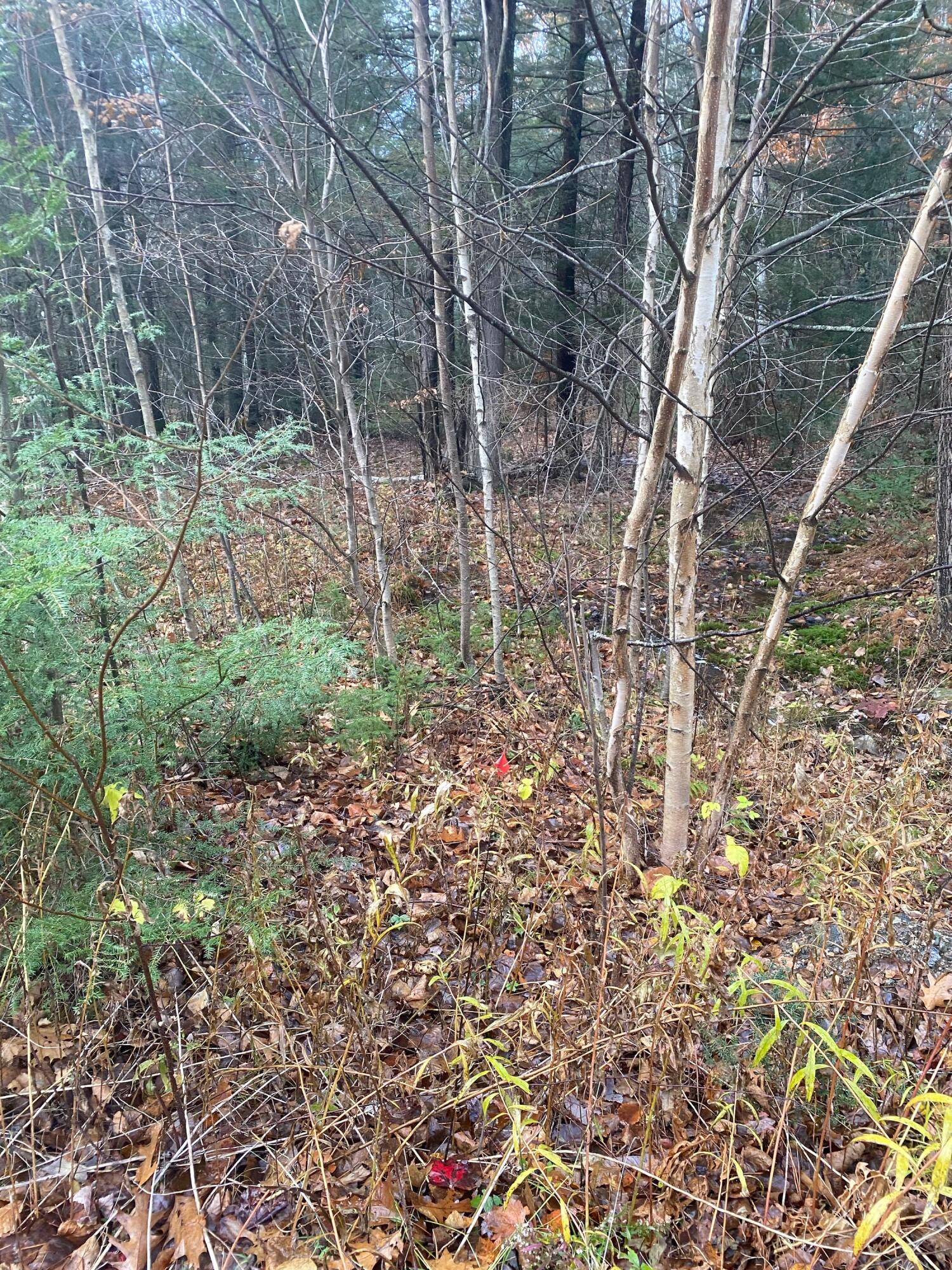 0 Stagecoach Road Woolwich, ME 04579 - Photo 11 of 11 IMG_7325