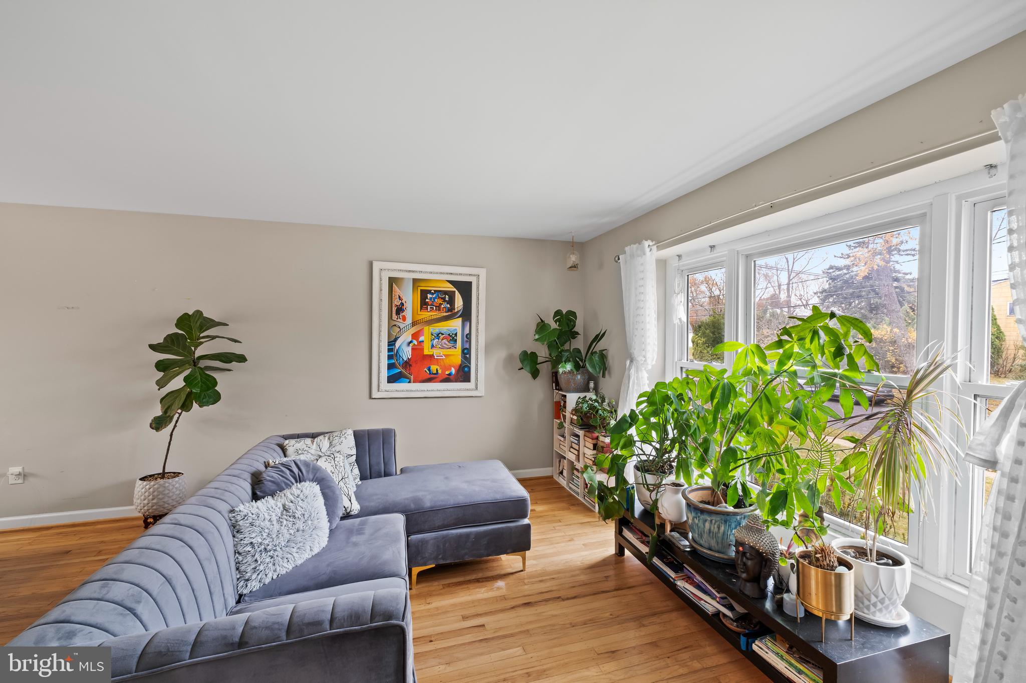 208 Pelham Road South Voorhees, NJ 08043 - Photo 6 of 33 a living room with furniture and a potted plant