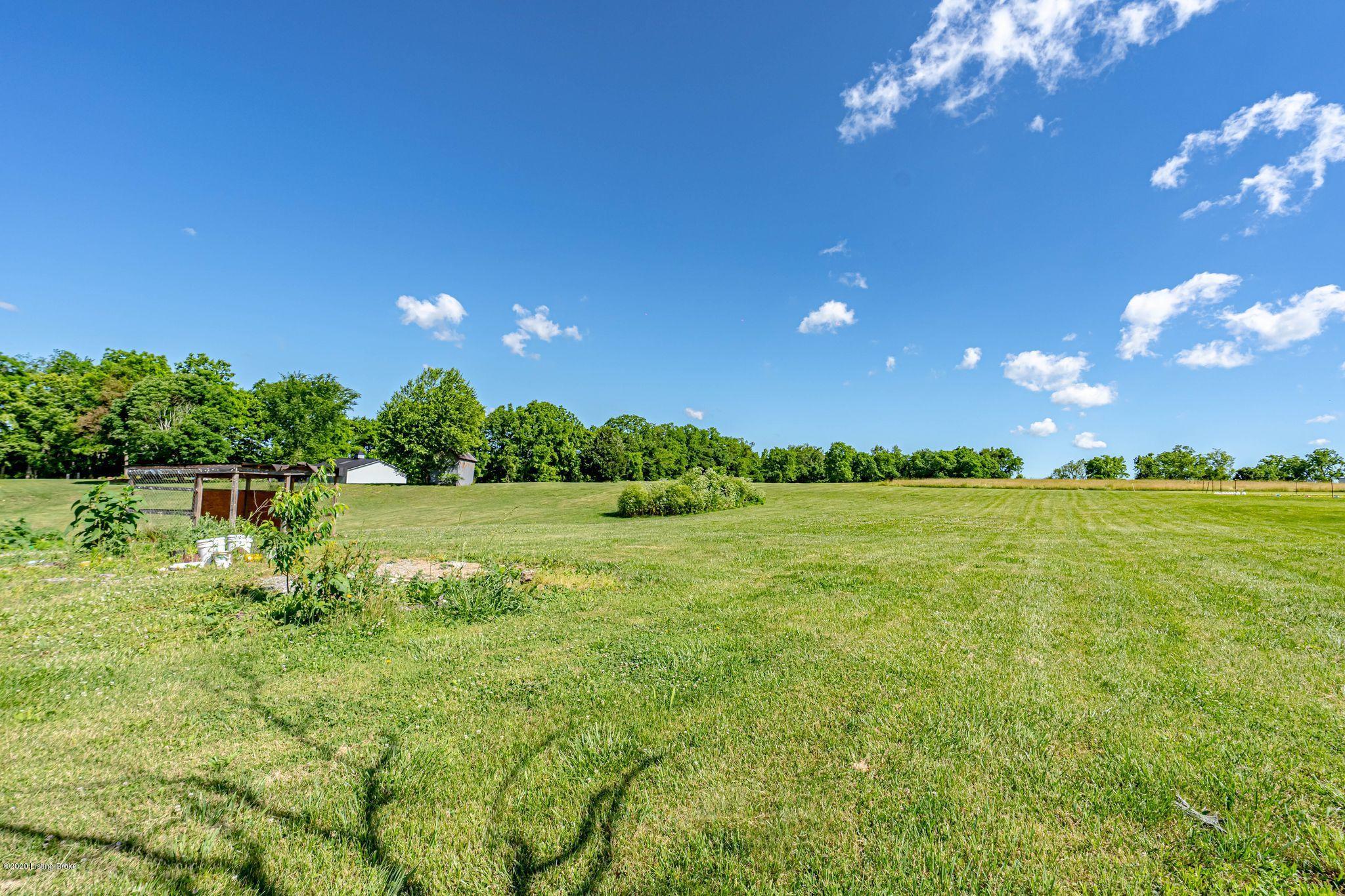 7636 Bagdad Road Bagdad, KY 40003 - Photo 20 of 21 Yard1