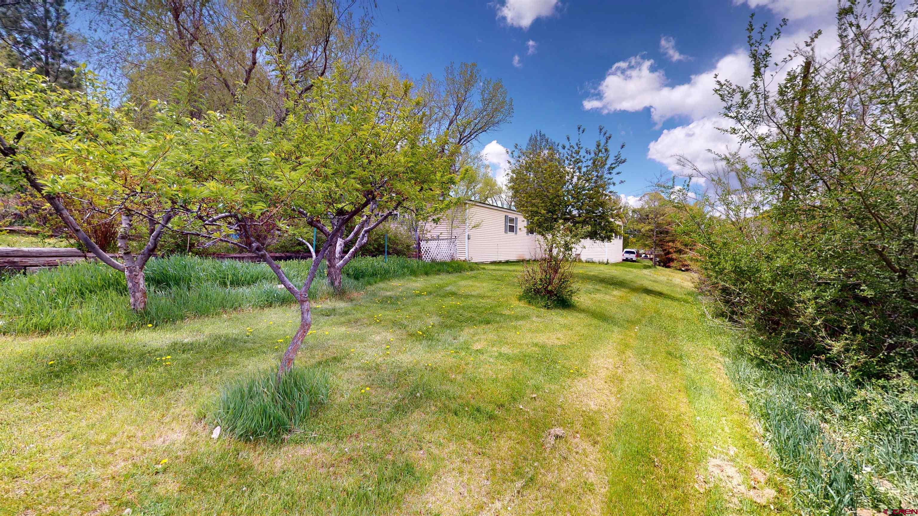 100 Rio Grande Avenue Paonia, CO 81428 - Photo 7 of 45 a view of a yard