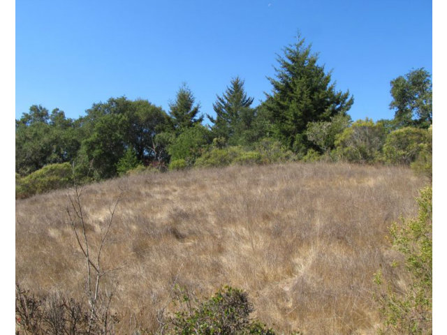 1675 Nelson Road Scotts Valley, CA 95066 - Photo 1 of 14 Gallery Image 1