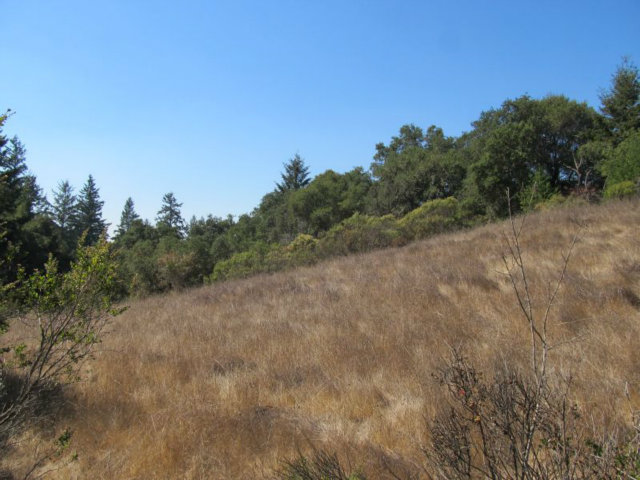 1675 Nelson Road Scotts Valley, CA 95066 - Photo 11 of 14 Gallery Image 11