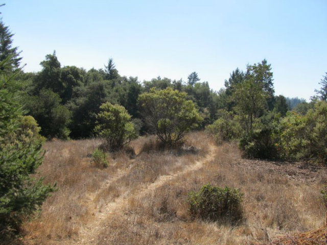 1675 Nelson Road Scotts Valley, CA 95066 - Photo 12 of 14 Gallery Image 12