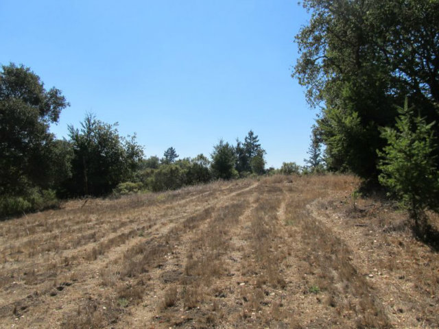 1675 Nelson Road Scotts Valley, CA 95066 - Photo 13 of 14 Gallery Image 13