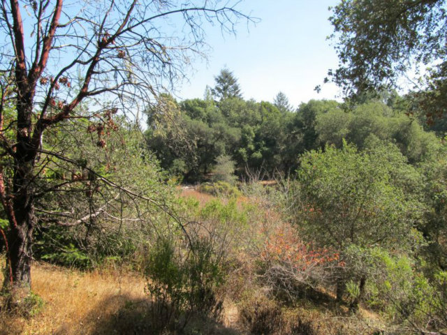 1675 Nelson Road Scotts Valley, CA 95066 - Photo 3 of 14 Gallery Image 3
