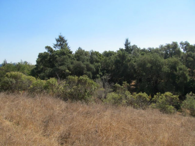 1675 Nelson Road Scotts Valley, CA 95066 - Photo 4 of 14 Gallery Image 4