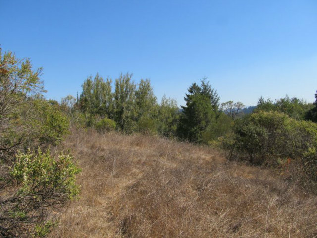 1675 Nelson Road Scotts Valley, CA 95066 - Photo 5 of 14 Gallery Image 5