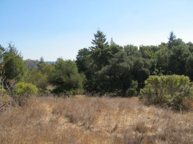 1675 Nelson Road Scotts Valley, CA 95066 - Photo 6 of 14 Gallery Image 6