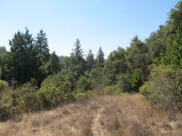 1675 Nelson Road Scotts Valley, CA 95066 - Photo 7 of 14 Gallery Image 7