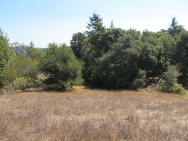 1675 Nelson Road Scotts Valley, CA 95066 - Photo 8 of 14 Gallery Image 8