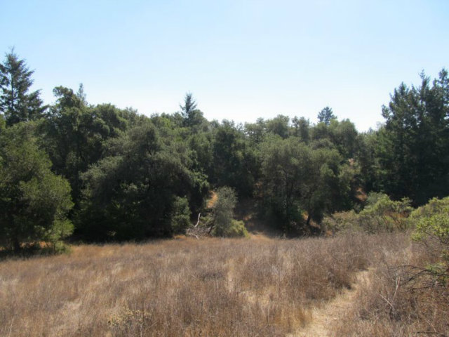 1675 Nelson Road Scotts Valley, CA 95066 - Photo 9 of 14 Gallery Image 9