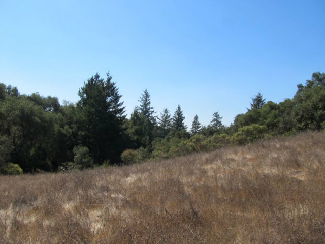 1675 Nelson Road Scotts Valley, CA 95066 - Photo 10 of 14 Gallery Image 10