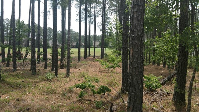 841 Steeplechase Road Aiken, SC 29803 - Photo 5 of 10