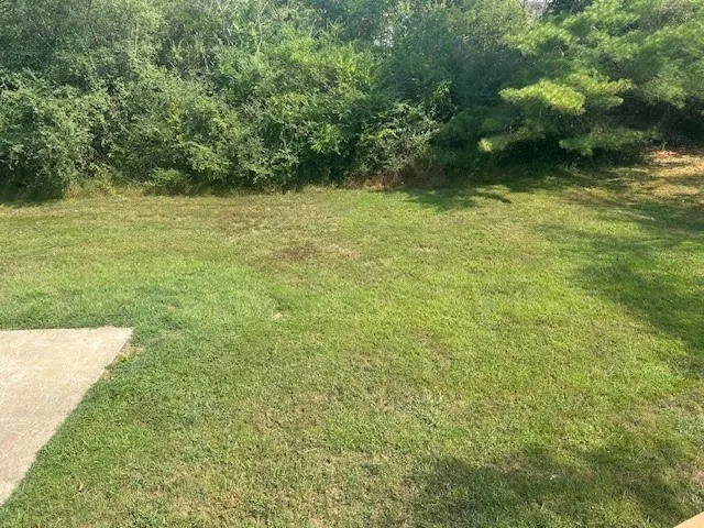 a view of backyard with green space