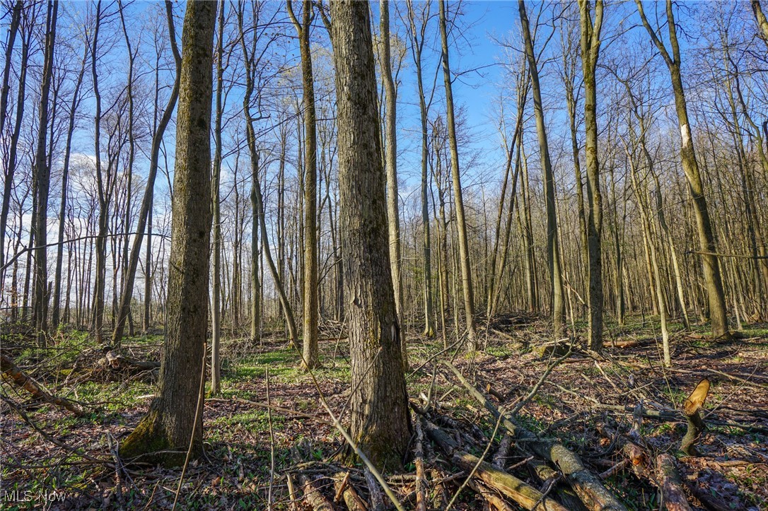 6831 Howard Road Williamsfield, OH 44093 - Photo 34 of 40 View of landscape featuring a view of trees