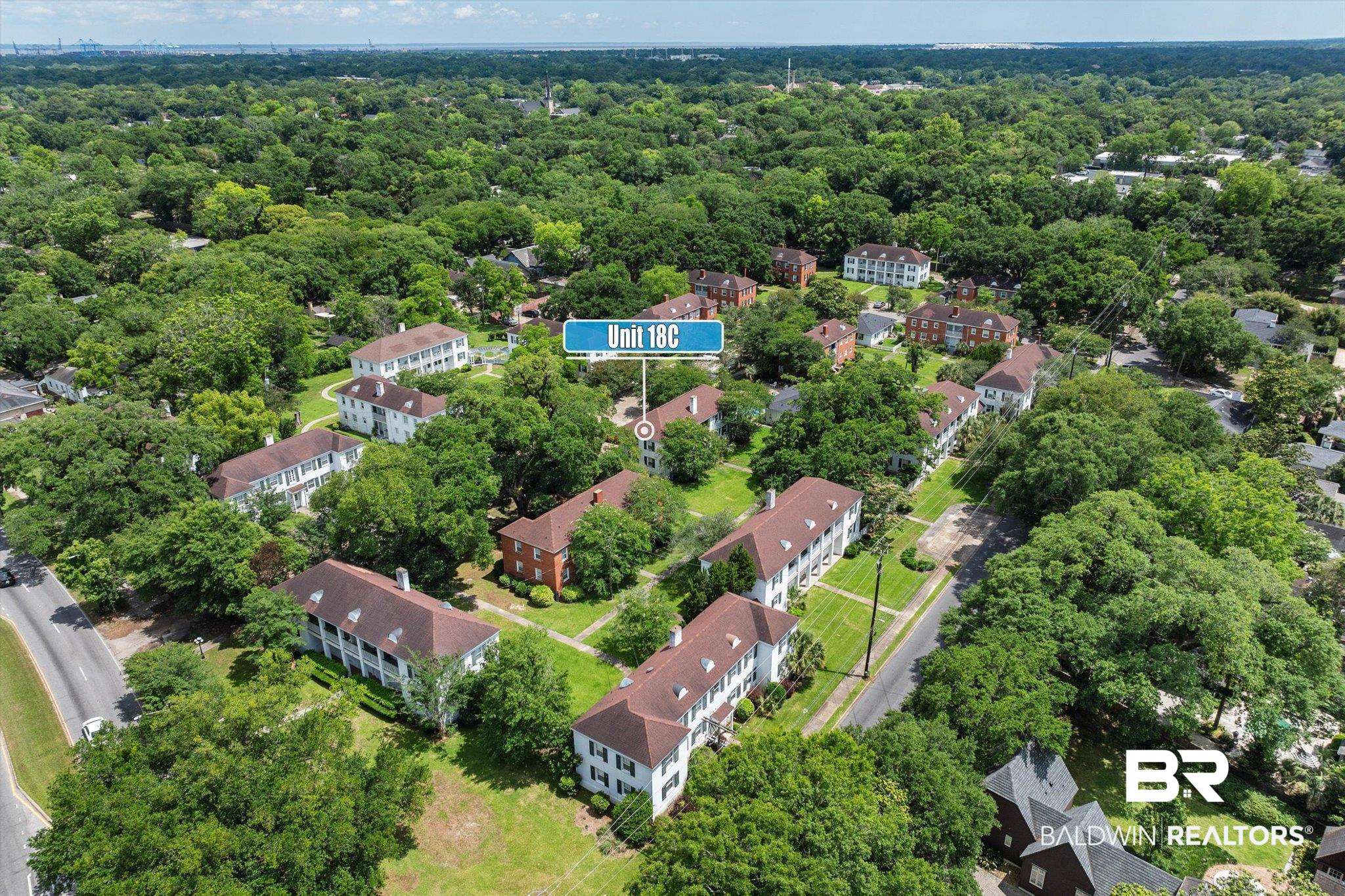 214 Upham Street, Unit 18C Mobile, AL 36607 - Photo 27 of 35 Aerial view of a forest
