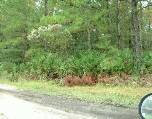 Lot#112 Paradise Road DeLand, FL 32720 - Photo 1 of 1 Exterior Front