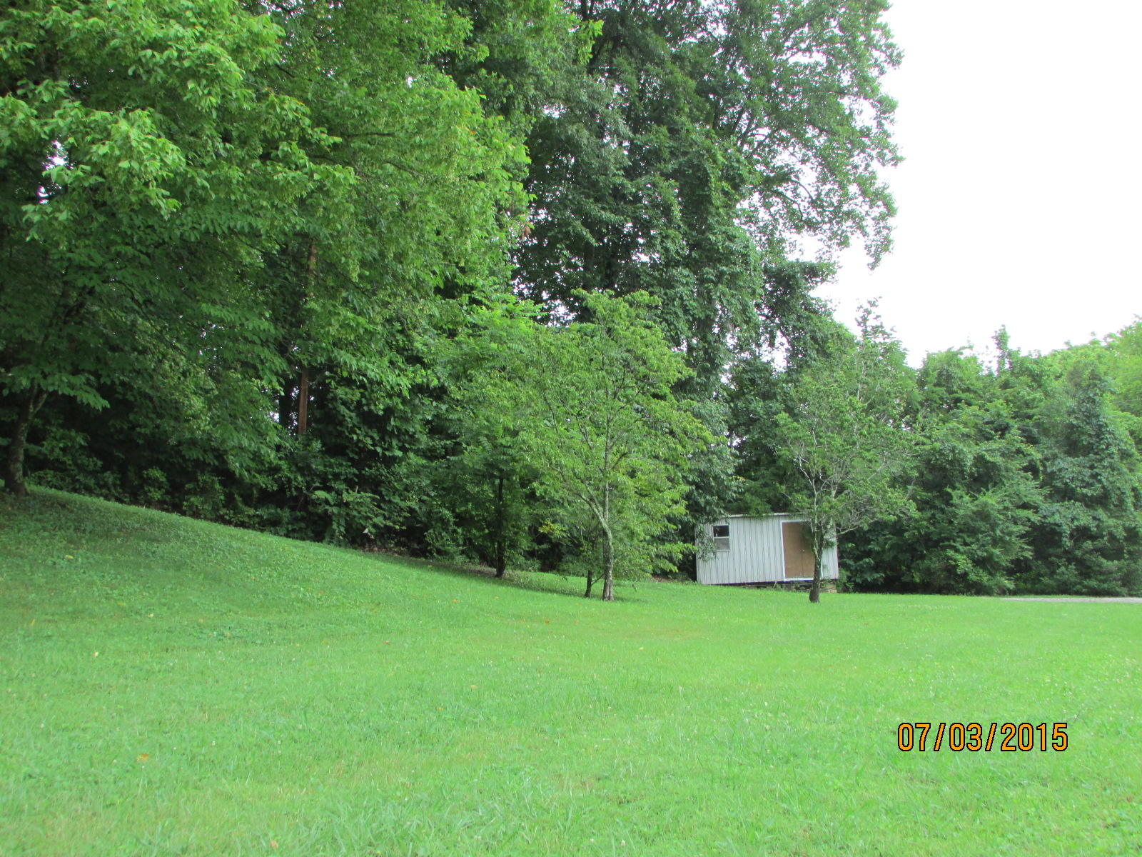 3925 Freels Road Friendsville, TN 37737 - Photo 1 of 7 017